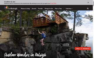Cary Street Partners of Stafford website