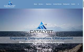 Catalyst Solutions website