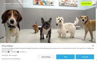 Healthy Hound Playground & Grooming website