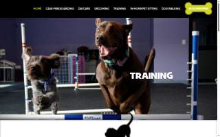 Affectionate Pet Care of Vienna website