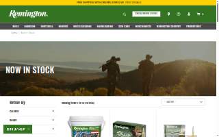 Remington Construction website