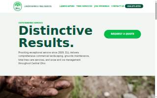 Diversified Strategies Financial Svcs, Inc. website
