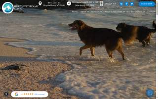 Hilltop Veterinary Clinic website