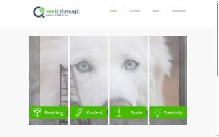 See It Through Media Strategy website