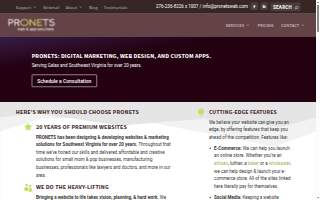 PRONETS Web & App Solutions website