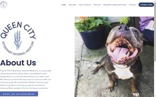 Queen City Veterinary Internal Medicine website