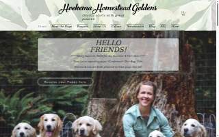 Hoekema Homestead Goldens website