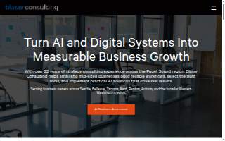 Blaser Consulting website