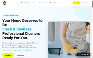 24/25 Cleaners website