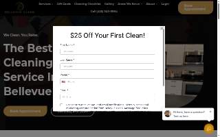 Bellevue Clean website