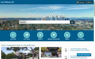 Bellevue Vision website