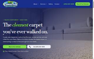 Dry Connection Carpet Cleaning website