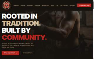 Warrior Strength Martial Arts website