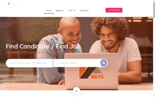 BDS JOB LLC website