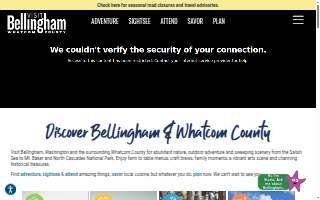 Bellingham IT website