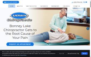 Ludwig Chiropractic website