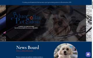 Blue Collar Pet Salon website