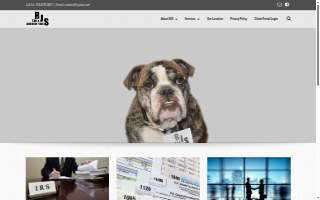 RJS Tax & Accounting website