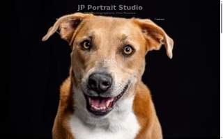 JP Portrait Studio website