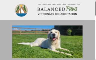 Balanced Paws Veterinary Rehabilitation website