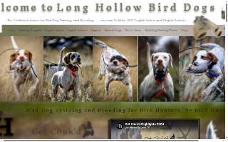 Long Hollow Bird Dogs website