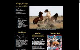 Molly Morrow Photography website