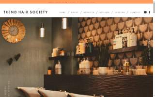 Trend Hair Society website
