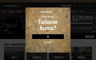 Federal Way Auto Sales website