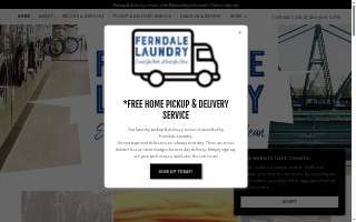Ferndale Laundry website