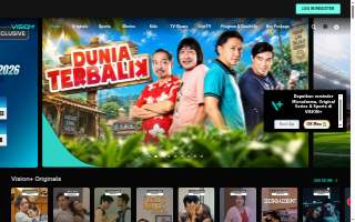 Vision Plus Ferndale website