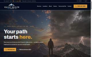 Valley Health and Counseling website