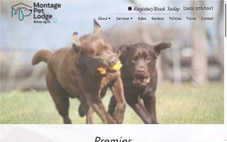 Montage Pet Lodge of Hazel Dell website