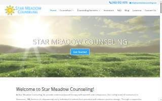 Star Meadow Counseling website