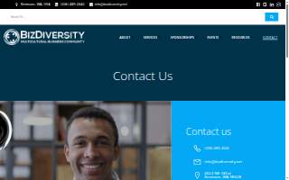 BizDiversity.net website