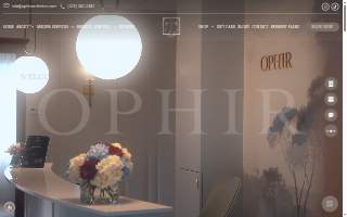 Ophir Aesthetics website
