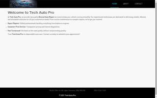 Tech Auto Pro website