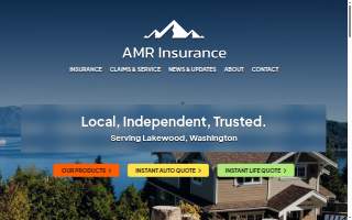 AMR Insurance website