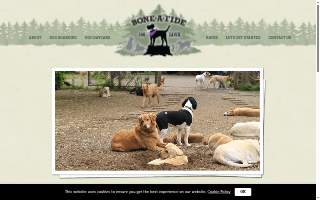 Bone-A-Fide Dog Ranch website