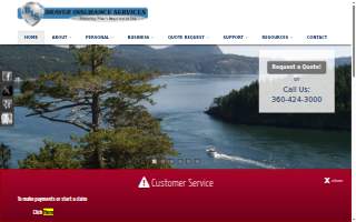 Brayer Insurance Services website
