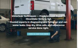 Waterleak Techniques website