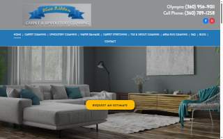 Blue Ribbon Carpet & Upholstery Cleaning website