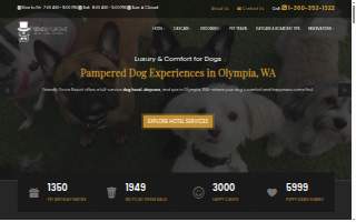 Friendly Grove Resort & Spa For Dogs website
