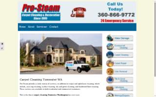 Prosteam services LLC website