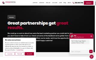 Cougar Digital Marketing website