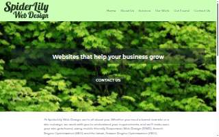 Spiderlily Web Design website