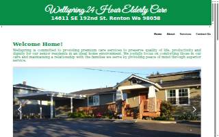 Wellspring 24 HR Elderly Care website