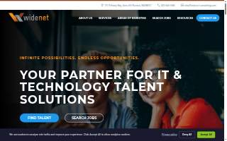 WideNet Consulting Group website
