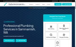 Pro Plumber Sammamish website