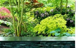 Cambium Landscape website