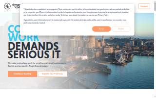 Dynamic Computing website